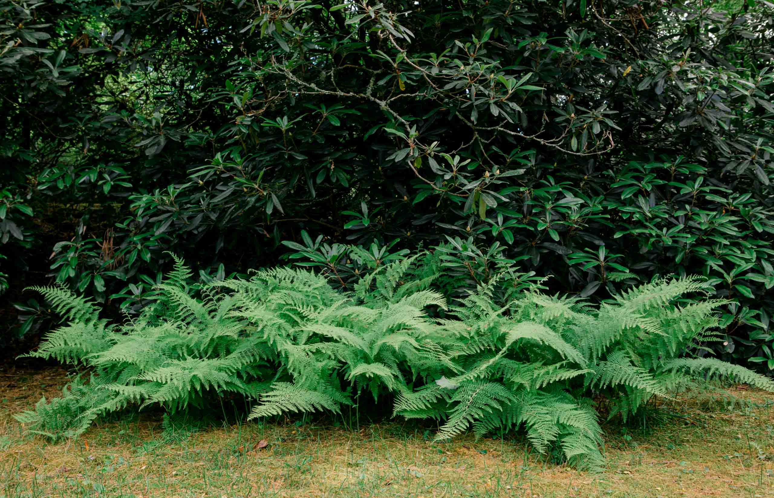 Sapphire, NC Landscaping Services
